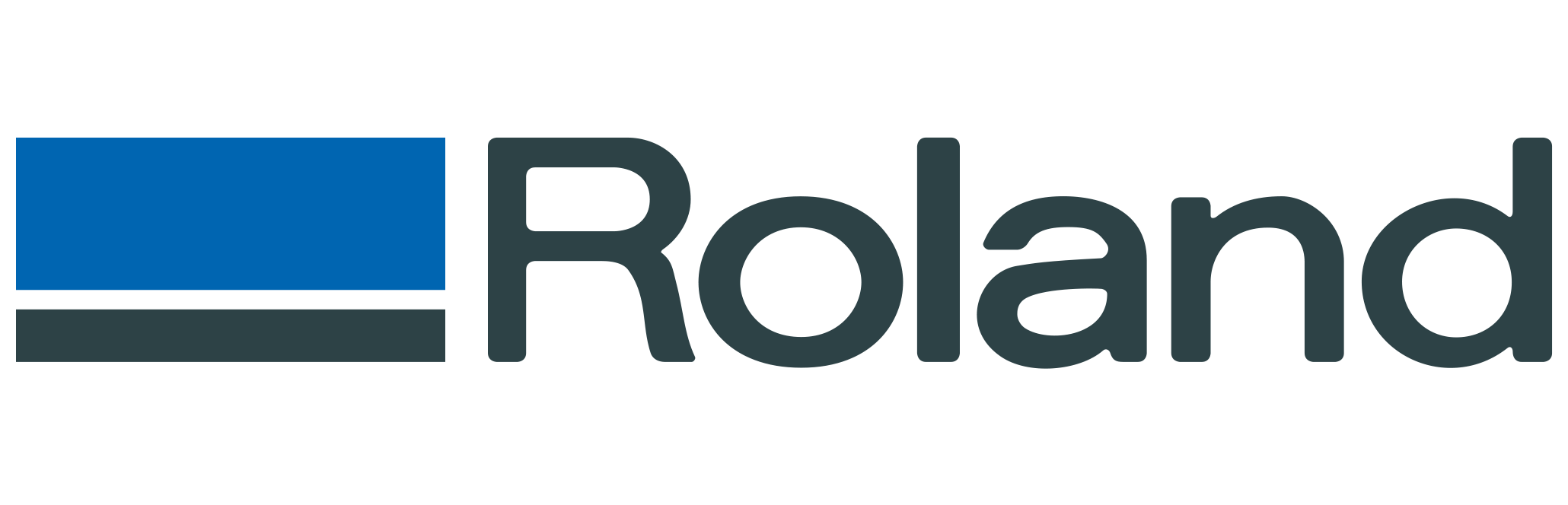 Roland DG logo Roland DG logo